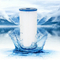 Casa entera universal 5 micras 10 x 4.5 BB con cartucho de agua plisado de cartucho de cartucho de neto House entero entero de servicio pesado compatible con R50-BB ECP5-BB